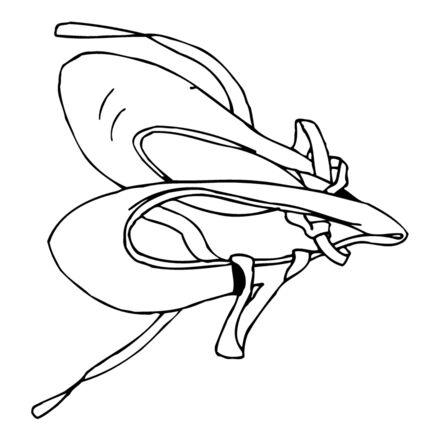 SHOE07 Thumbnail