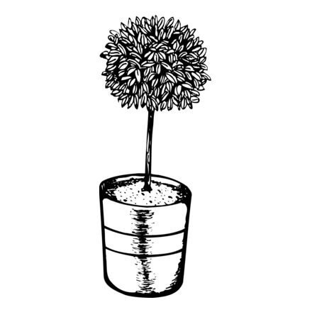 PLANT01 Thumbnail