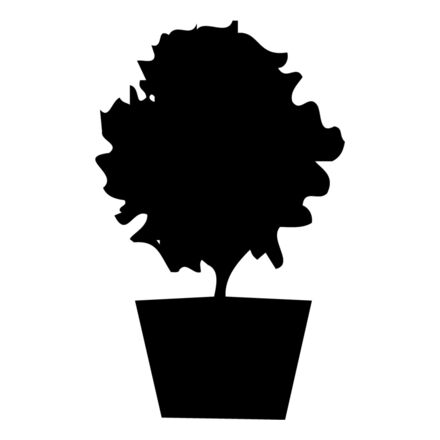 PLANT06 Thumbnail