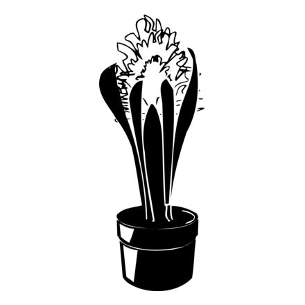 PLANT08 Thumbnail