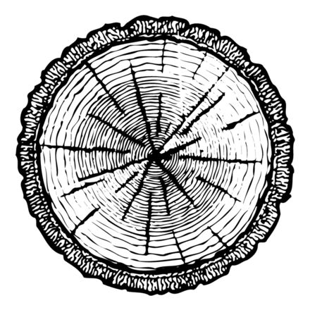 TIMBER04 Thumbnail