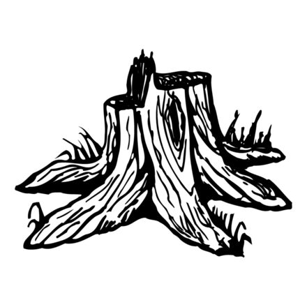 TIMBER09 Thumbnail