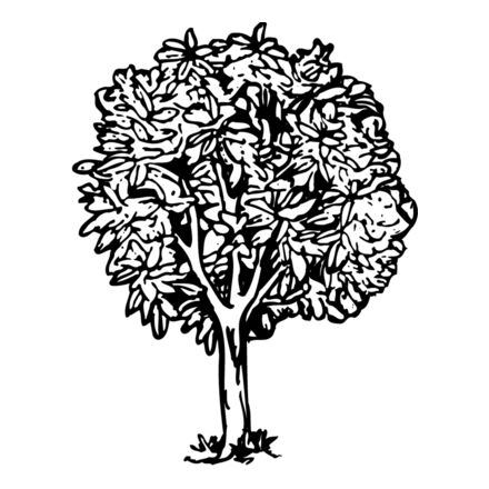 TREE0014 Thumbnail