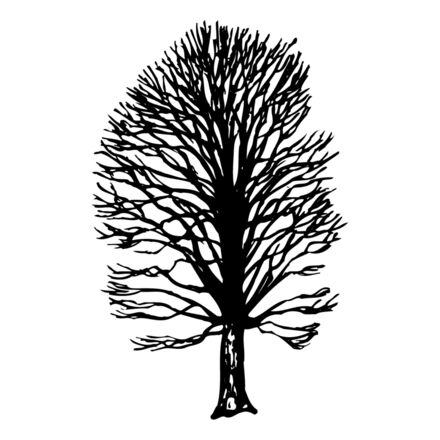 TREE0019 Thumbnail