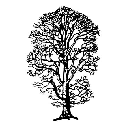 TREE0021 Thumbnail