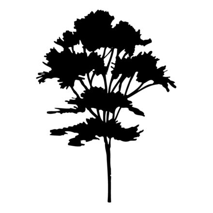 TREE0025 Thumbnail
