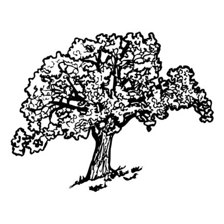 TREE0027 Thumbnail