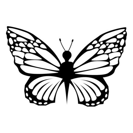 Butterfly3 Thumbnail