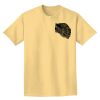 Adult Heavyweight T-Shirt Thumbnail