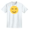 Adult Midweight T-Shirt Thumbnail