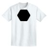 Adult Lightweight T-Shirt Thumbnail