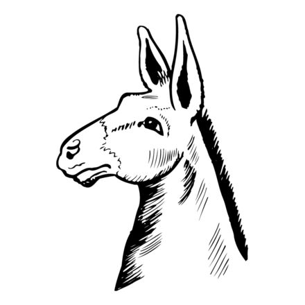 Animals Thumbnail